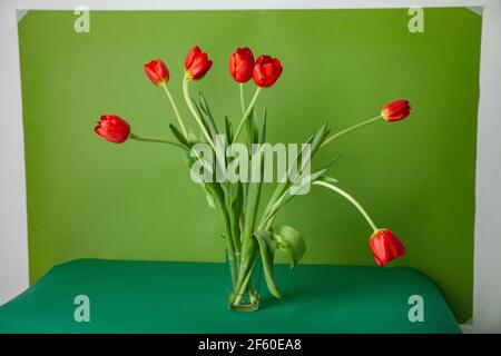 Tulipes rouges dans une tasse de verre sur fond vert Banque D'Images