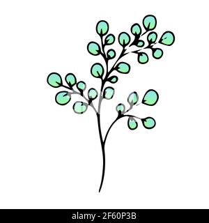 Belle fleur, branche de printemps avec des feuilles, objet vectoriel floral en style Doodle, fleurs main dessiner, isoler sur un fond blanc Illustration de Vecteur