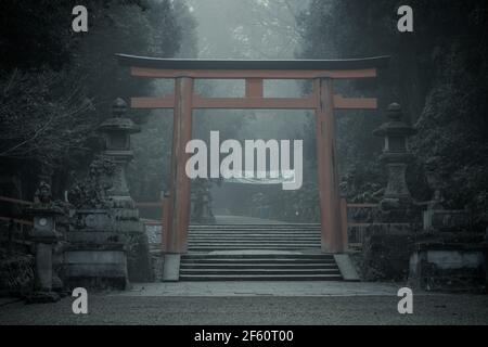 Le Grand Sanctuaire déserté de Kasuga Taisha à Nara, Kansai, Japon, un matin froid et brumeux Banque D'Images