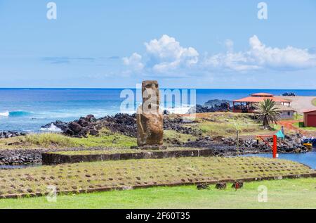 Moai unique (statue) face à la mer à Hanga Roa, la ville principale de l'île de Pâques (Rapa Nui), Chili Banque D'Images