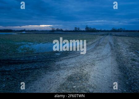 Des marques de roue sur une route boueuse et un ciel nuageux le soir Banque D'Images