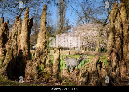 Londres, Royaume-Uni. 29 mars 2021. Les gens apprécient les conditions météorologiques printanières et l'assouplissement des restrictions de verrouillage de l'Angleterre qui permettent aux gens de se mélanger à l'extérieur, à Bushy Park, dans l'ouest de Londres. Date de la photo: Lundi 29 mars 2021. Le crédit photo devrait se lire: Matt Crossick/Empics/Alamy Live News Banque D'Images