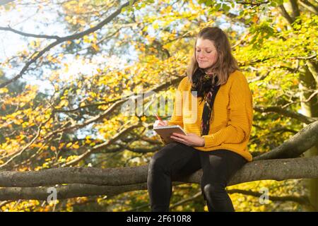 Femme esquissant, assise sur une branche d'arbre Banque D'Images