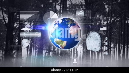 Composition du traitement des données financières sur le globe et la forêt dans arrière-plan Banque D'Images