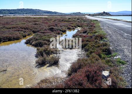 Route de campagne traversant les marais salants du Parc naturel régional de la Narbonnaise en Méditerranée près de Bages, Aude, France Banque D'Images