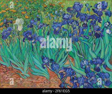 Iris de Vincent van Gogh. Vincent van Gogh, 1853 - 1890, artiste post-impressionniste néerlandais. Les iris ont été peints en 1889 alors que Van Gogh était en asile à Saint-Rémy-de-Provence. L'œuvre est dans la collection du J.Paul Getty Museum à Los Angeles. Banque D'Images