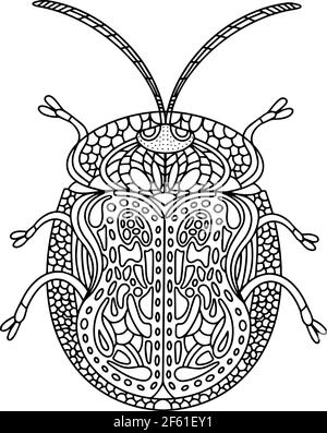 Livre de coloriage de tortue de coléoptère. Coléoptère de la Tortuga Illustration de Vecteur