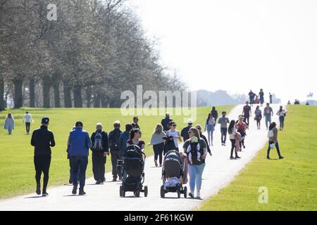 Windsor, Royaume-Uni. 29 mars 2021. Les résidents et les visiteurs de la région peuvent se promener sur la longue promenade dans le grand parc de Windsor au début de ce qui devrait être une courte période de temps chaud. Le gouvernement a depuis aujourd'hui assoupli les restrictions de la COVID-19 sur les rassemblements extérieurs dans les espaces publics et les jardins privés en permettant à deux ménages de toute taille ou six personnes de six ménages maximum de se rencontrer à l'extérieur de l'Angleterre. Crédit : Mark Kerrison/Alamy Live News Banque D'Images