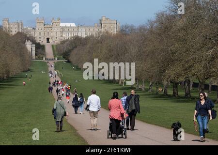 Windsor, Royaume-Uni. 29 mars 2021. Les résidents et les visiteurs de la région peuvent se promener sur la longue promenade dans le grand parc de Windsor au début de ce qui devrait être une courte période de temps chaud. Le gouvernement a depuis aujourd'hui assoupli les restrictions de la COVID-19 sur les rassemblements extérieurs dans les espaces publics et les jardins privés en permettant à deux ménages de toute taille ou six personnes de six ménages maximum de se rencontrer à l'extérieur de l'Angleterre. Crédit : Mark Kerrison/Alamy Live News Banque D'Images