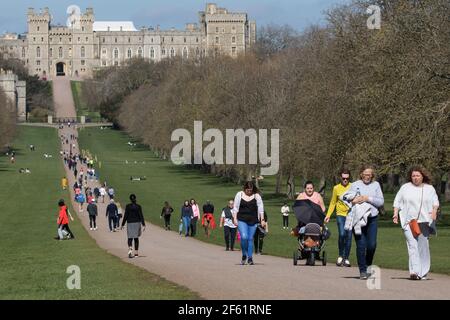 Windsor, Royaume-Uni. 29 mars 2021. Les résidents et les visiteurs de la région peuvent se promener sur la longue promenade dans le grand parc de Windsor au début de ce qui devrait être une courte période de temps chaud. Le gouvernement a depuis aujourd'hui assoupli les restrictions de la COVID-19 sur les rassemblements extérieurs dans les espaces publics et les jardins privés en permettant à deux ménages de toute taille ou six personnes de six ménages maximum de se rencontrer à l'extérieur de l'Angleterre. Crédit : Mark Kerrison/Alamy Live News Banque D'Images