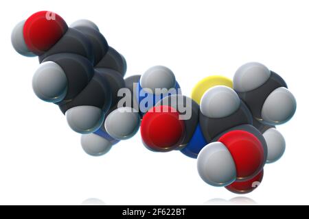 Modèle moléculaire de l'amoxicilline Banque D'Images