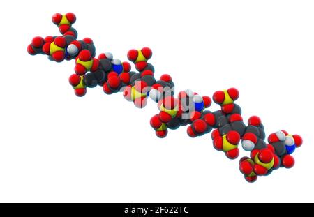 Héparine, modèle moléculaire Banque D'Images