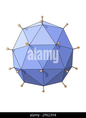 Forme du virus, polyédrique, Illustration Banque D'Images