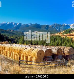 balles rondes de foin et pics éloignés de la chaîne d'absaroka près de livingston, montana Banque D'Images