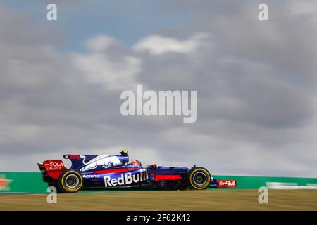 26 KVYAT Daniil (rus) Toro Rosso Ferrari STR12 team Toro Rosso, action pendant le Championnat du monde de Formule 1 2017, Etats-Unis d'Amérique Grand Prix du 19 au 22 octobre à Austin, Texas, Etats-Unis - photo François Flamand / DPPI Banque D'Images