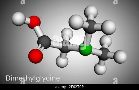 Diméthylglycine, DMG, molécule de N,N-diméthylglycine. Il est dérivé de la glycine d'acides aminés. Modèle moléculaire. Rendu 3D. Illustration 3D Banque D'Images