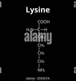 Acide aminé lysine. Formule moléculaire chimique la lysine est un acide aminé. Illustration vectorielle sur un arrière-plan isolé Illustration de Vecteur