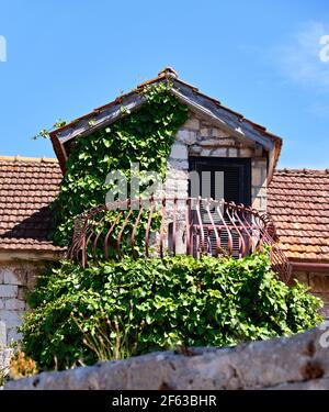 Vieux balcon dans l'ancienne maison de pêcheur, surcultivé avec des raisins. Architecture traditionnelle du village de Vrboska, île de Hvar, Dalmatie, Croatie, Banque D'Images