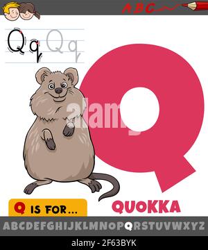 Illustration de dessin animé éducatif de la lettre Q de l'alphabet avec quokka caractère animal pour les enfants Illustration de Vecteur