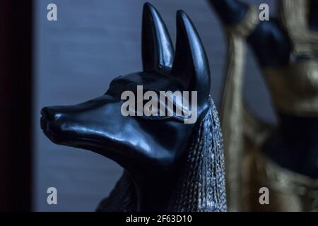 Encore la vie de la statue de la mythologie jackal anubis inpu anup. En arrière-plan sont des motifs égyptiens avec hiéroglyphes. Banque D'Images