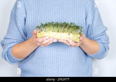 Femme tenant des micro-verts, brocolis pousses, cinq jours. Concept de jardinage à la maison et de verdure croissante à l'intérieur. Une alimentation saine et un mode de vie sain. Banque D'Images
