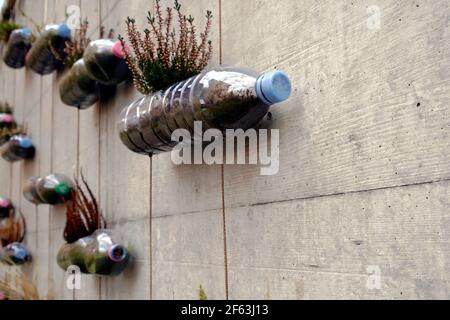 Bouteilles en plastique avec bouchons colorés transformées en vous-même ou jardin vertical fait à la main fixé avec des cordes sur un mur en béton. Banque D'Images