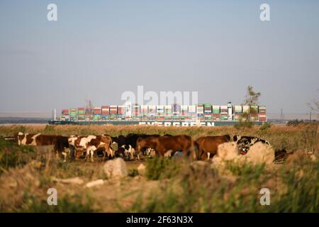 Canal de Suez. 29 mars 2021. La photo prise le 29 mars 2021 montre que le navire à conteneurs jamais donné se déplace sur le canal de Suez, en Égypte. La circulation dans le canal de Suez a repris après que l'énorme navire à conteneurs ait été renfloué avec succès comme étant resté bloqué dans le canal pendant presque une semaine, a déclaré lundi l'Autorité du canal de Suez (SCA) en Égypte. Crédit : Wu Huiwo/Xinhua/Alay Live News Banque D'Images