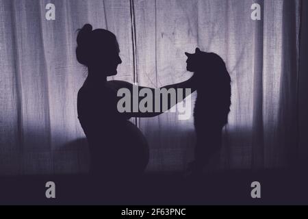 Une femme enceinte tient un chat dans ses bras. Problèmes avec les animaux de compagnie pendant la grossesse, la silhouette de la future mère à la fenêtre de nuit Banque D'Images