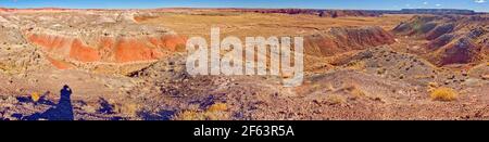 Panorama de la nature sauvage de Lithodendron vue depuis une crête près du pont Onyx dans le parc national de la Forêt pétrifiée en Arizona. Banque D'Images