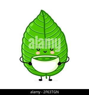 Mignon drôle kratom feuille boisson thé de caractère de bol. Icône d'illustration de personnage de dessin animé kawaii à lignes planes vectorielles. Isolé sur fond blanc. Concept de paquet de caractères de feuille de kratom Illustration de Vecteur