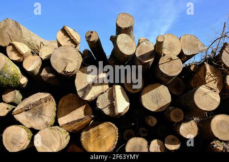 Grande pile de bois en plein air dans un champ en France Banque D'Images