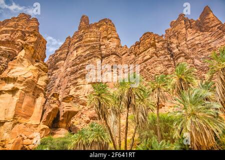 Oasis de Wadi Al Disah dans la province de Tabuk, Arabie Saoudite Banque D'Images