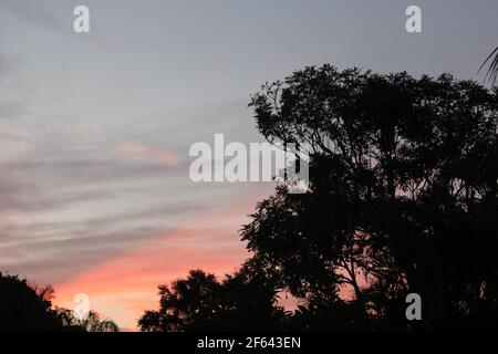 Coucher de soleil en Floride Banque D'Images