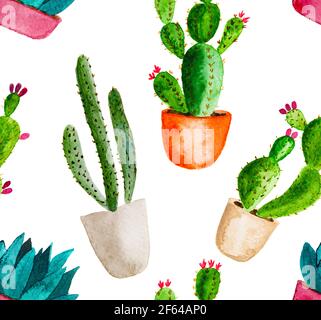 Motif sans couture d'éléments aquarelle peints à la main de haute qualité pour votre conception avec des plantes succulentes, cactus et plus encore Banque D'Images