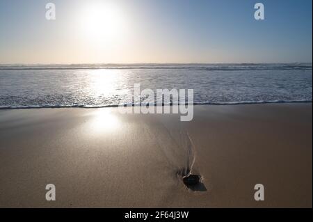 CÔTE ATLANTIQUE, CARCANS BEACH, PETITE STATION DE BAIGNADE SUR LA CÔTE ATLANTIQUE FRANÇAISE, PRÈS DE LACANAU ET BORDEAUX Banque D'Images