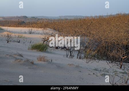 CÔTE ATLANTIQUE, CARCANS BEACH, PETITE STATION DE BAIGNADE SUR LA CÔTE ATLANTIQUE FRANÇAISE, PRÈS DE LACANAU ET BORDEAUX Banque D'Images