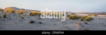 CÔTE ATLANTIQUE, CARCANS BEACH, PETITE STATION DE BAIGNADE SUR LA CÔTE ATLANTIQUE FRANÇAISE, PRÈS DE LACANAU ET BORDEAUX Banque D'Images