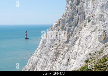 Le phare de Beachy Head, situé dans la Manche, se trouve sous Beachy Head, la plus haute falaise de la mer de craie en Grande-Bretagne. East Sussex. ROYAUME-UNI. Banque D'Images