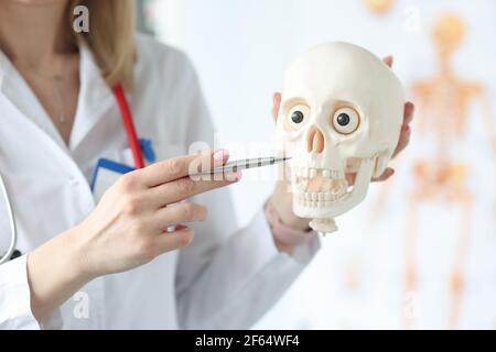 Le médecin garde le squelette du crâne dans le bureau médical Banque D'Images