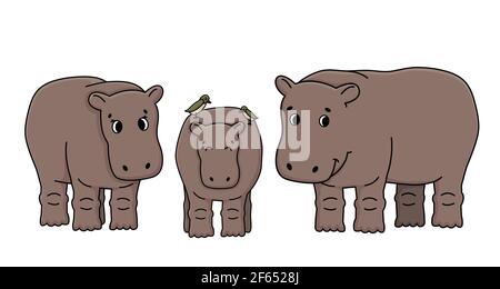 Dessin animé vectoriel marron ensemble de trois hippos stand sur le sol. Deux oiseaux d'Oxpecker sont à l'arrière de l'hippopotame. Famille isolée Doodle Illustration de Vecteur