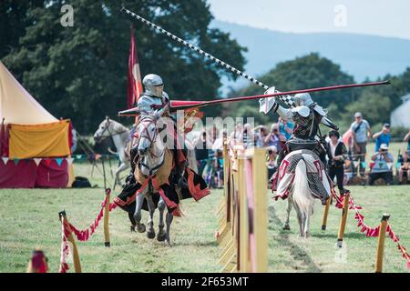 Chevaliers médiévaux à cheval Banque D'Images