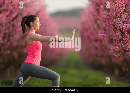 Vue latérale d'une femme pratiquant un exercice de tai chi dans un champ fleuri rose au coucher du soleil Banque D'Images
