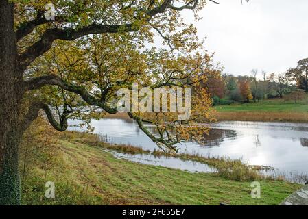 Cromm, Irlande du Nord - 8 novembre 2020. Lac Erne et vieux pont au château de Cromm, Co. Fermanagh, Irlande du Nord Banque D'Images