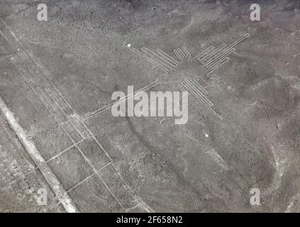 Geoglyphe d'oiseau-colibri de couleur noire et blanche, lignes mystérieuses de Nazca et geoglyphes vue aérienne, point de repère à Nasca, Pérou Banque D'Images