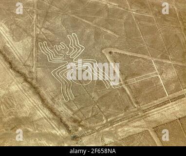 Araignée geoglyphe, Nazca ou Nasca lignes mystérieuses et géoglyphes vue aérienne, point de repère au Pérou Banque D'Images