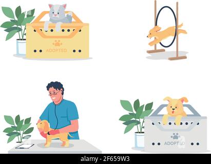 Jeu de caractères détaillé pour l'entretien et l'entraînement des animaux de compagnie Illustration de Vecteur