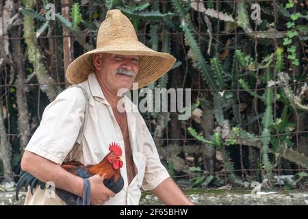 Homme cubain avec oiseau de coq, Santa Clara, Villa Clara, Cuba Banque D'Images