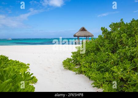 République dominicaine, Punta Cana, Playa Blanca, jetée en bois avec cabane de chaume Banque D'Images