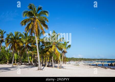 République dominicaine, Punta Cana, Playa Cabeza de Toro Banque D'Images