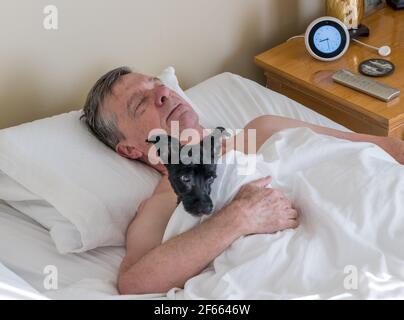 L'homme retraité senior dormait au lit et se blotait son chien de terrier. Peut être utilisé comme illustration de l'importance des animaux de compagnie pour les personnes âgées Banque D'Images